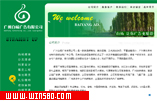 广州白杨广告有限公司